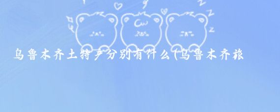 乌鲁木齐土特产分别有什么(乌鲁木齐旅游特产)