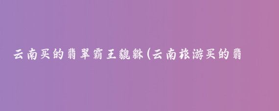 云南买的翡翠霸王貔貅(云南旅游买的翡翠貔貅)