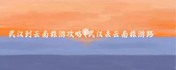 武汉到云南旅游攻略(武汉去云南旅游路线)