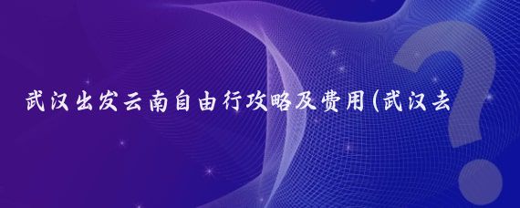 武汉出发云南自由行攻略及费用(武汉去云南旅游攻略)