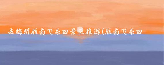 去梅州雁南飞茶田景区旅游(雁南飞茶田旅游景区)