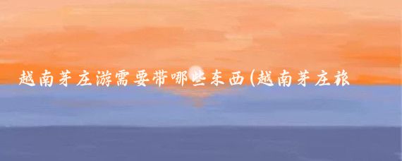 越南芽庄游需要带哪些东西(越南芽庄旅游准备什么)