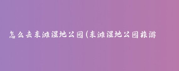 怎么去东滩湿地公园(东滩湿地公园旅游路线)