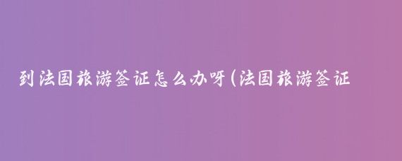 到法国旅游签证怎么办呀(法国旅游签证网签)