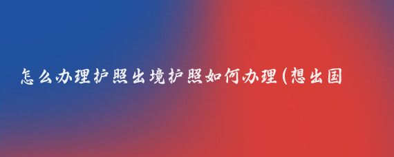 怎么办理护照出境护照如何办理(想出国旅游护照怎么办理)
