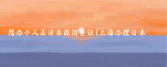 想办个人去日本旅游签证(上海办理日本旅游签证)