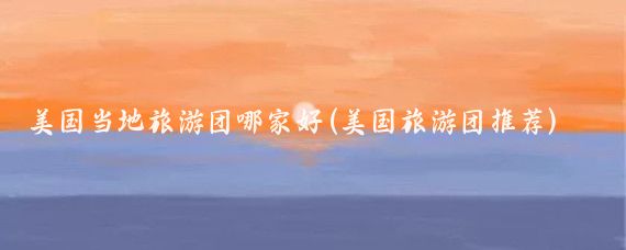 美国当地旅游团哪家好(美国旅游团推荐)