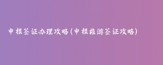 申根签证办理攻略(申根旅游签证攻略)