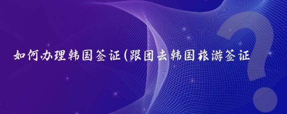 如何办理韩国签证(跟团去韩国旅游签证怎么办)