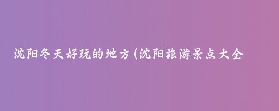 沈阳冬天好玩的地方(沈阳旅游景点大全冬天)