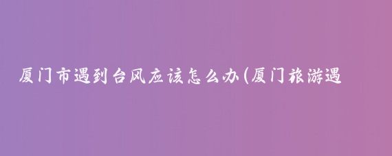 厦门市遇到台风应该怎么办(厦门旅游遇台风)