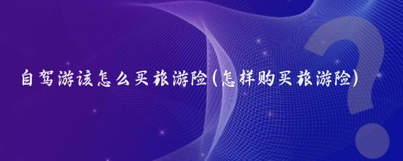 自驾游该怎么买旅游险(怎样购买旅游险)