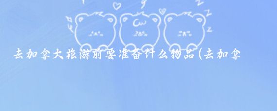 去加拿大旅游前要准备什么物品(去加拿大旅游带什么)