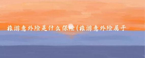 旅游意外险是什么保险(旅游意外险属于人身保险)