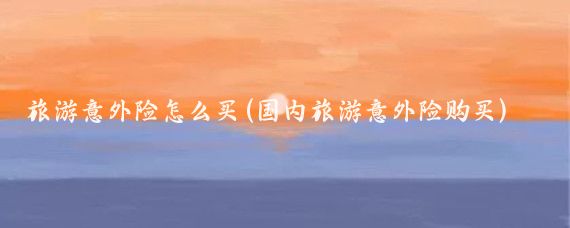 旅游意外险怎么买(国内旅游意外险购买)