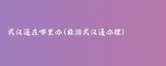 武汉通在哪里办(旅游武汉通办理)