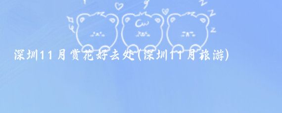 深圳11月赏花好去处(深圳11月旅游)