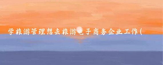 学旅游管理想去旅游电子商务企业工作(旅游管理电子商务)