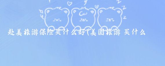 赴美旅游保险买什么好(美国旅游 买什么保险)