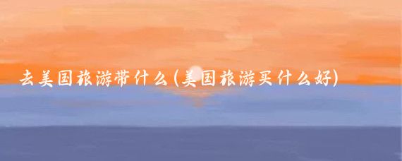 去美国旅游带什么(美国旅游买什么好)