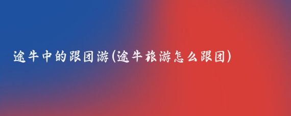 途牛中的跟团游(途牛旅游怎么跟团)