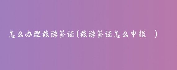 怎么办理旅游签证(旅游签证怎么申报	)