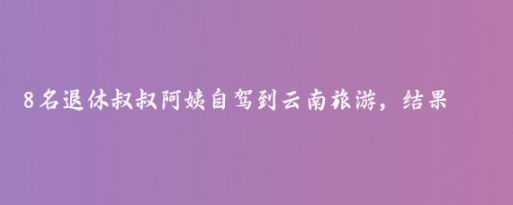 8名退休叔叔阿姨自驾到云南旅游，结果走错了路线，遇到有人办婚宴