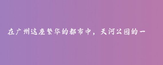 在广州这座繁华的都市中，天河公园的一处特殊角落成为了城市中老年人生活的独特风景