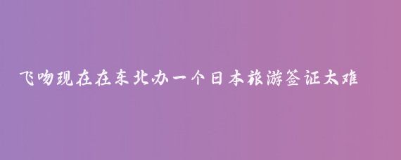 飞吻现在在东北办一个日本旅游签证太难了，条件太苛刻，尤其对自由职业者