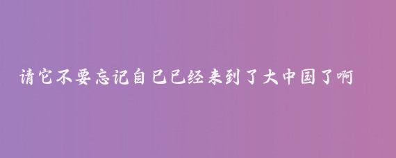 请它不要忘记自己已经来到了大中国了啊，我们国家已经去英语化了