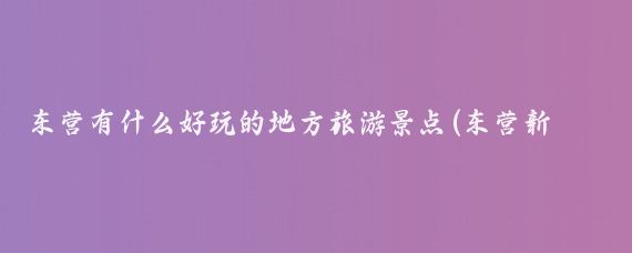 东营有什么好玩的地方旅游景点(东营新区好玩的景点)